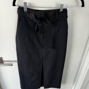 Navy Blue Pinstripe Skirt from Aritzia 00